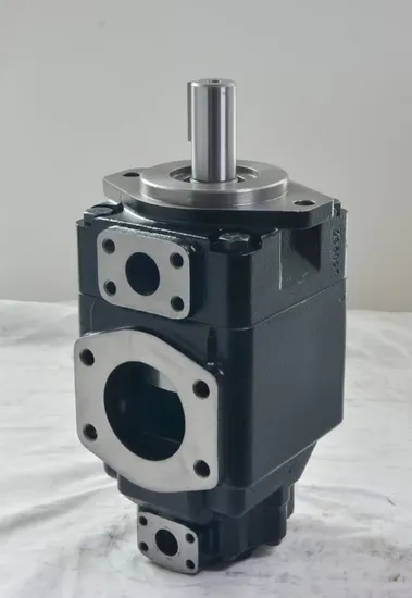 Denison T6/T7 Series T6c/T7d/T7ds/T7e/T7es Hydraulic Vane Pump for Sale